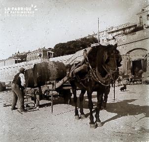 B020 Quotidien cheval devant l'hotel d'orléans
