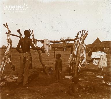 B023 Afrique scène de la vie quotidienne chèvres mortes
