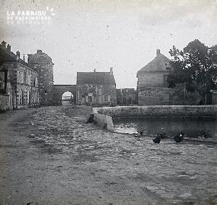 B031 Mare et canards à l'intérieur d'un village