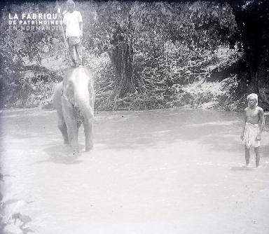 B053 Debout sur l'éléphant 1
