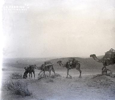 B054 La caravane 1