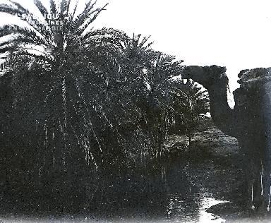 B069 L'oasis 1