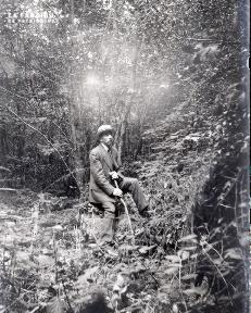 B077 Dans les sous bois