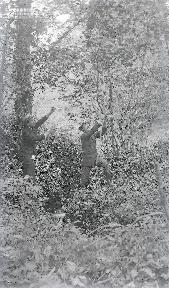 B090 Dans les branches