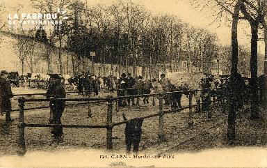 Caen, marché aux bêtes