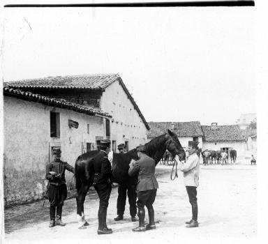 Militaires autour d'un cheval