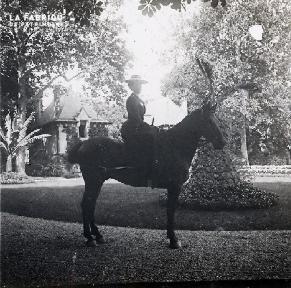 Femme à cheval dans le parc