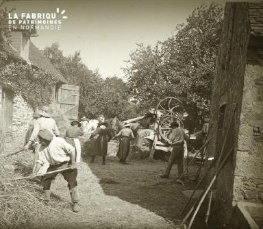 Abattage du blé avec une machine à chevaux, 1920