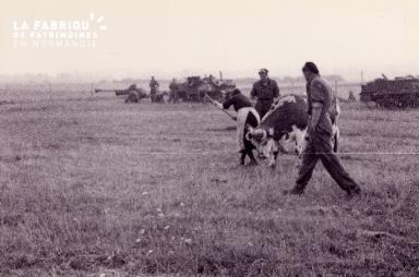 La 1ère DB polonaise durant la Seconde Guerre mondiale.