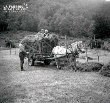 Un cheval attelé à une charrette pleine de foin