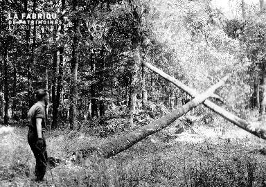 Soldat canadien dans la foret de Balleroy