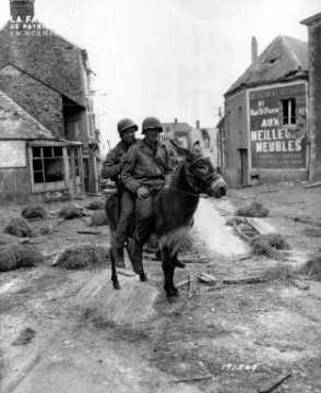 Deux soldats américains à dos d'âne
