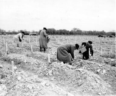 Recueillement de civils dans un cimetière provisoire 