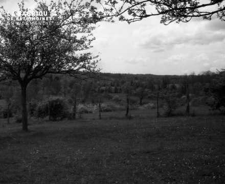 Paysage normand