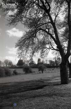 Bocage normand