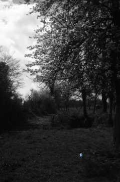 Paysage normand