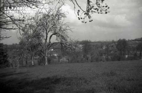 Bocage normand