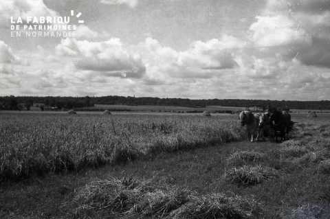 Travaux agricole