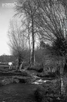 Cours d'eau dans les campagnes