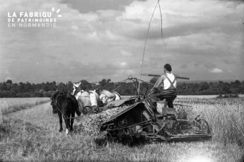 Moissonneuse-lieuse