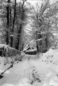 Paysage sous la neige