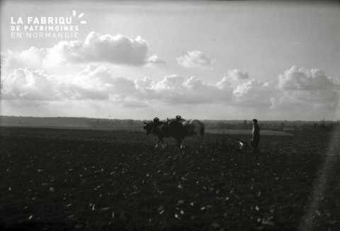 Agriculture