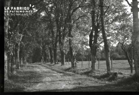 Campagne