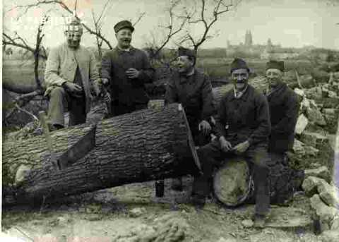 Militaires coupant des arbres sur le grand cours