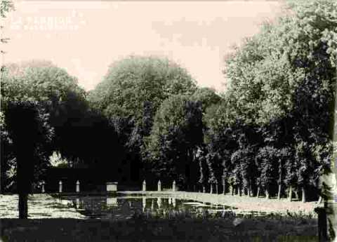 Château de Canon  XVIII ème, le bassin