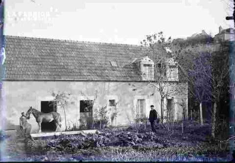 Haras avec deux personnes