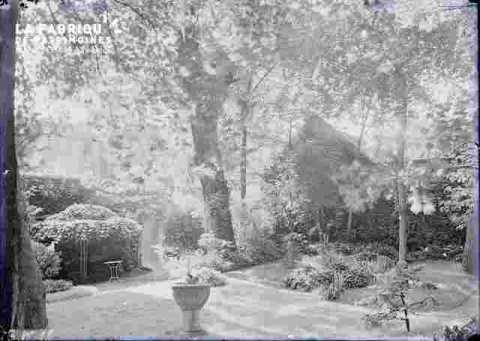 Parc arboré ou Jardin