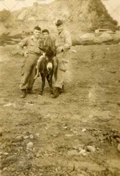 Soldats français à dos d'âne