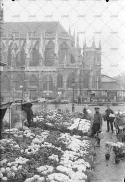 Caen, le marché aux fleurs