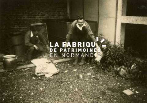 Mise à mort d'une poule à Cherbourg en 1940.