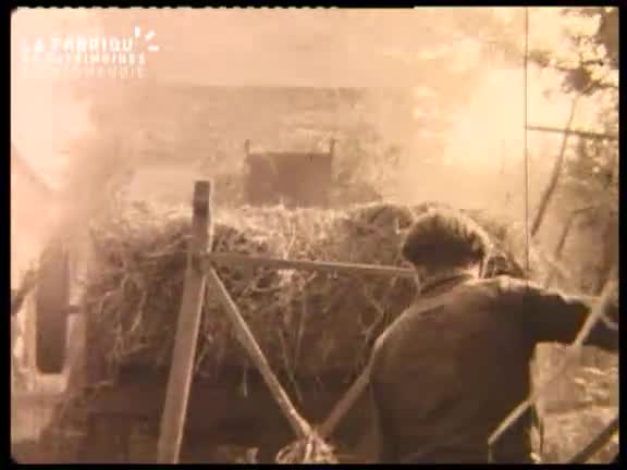 Tâches agricoles à la Bellière